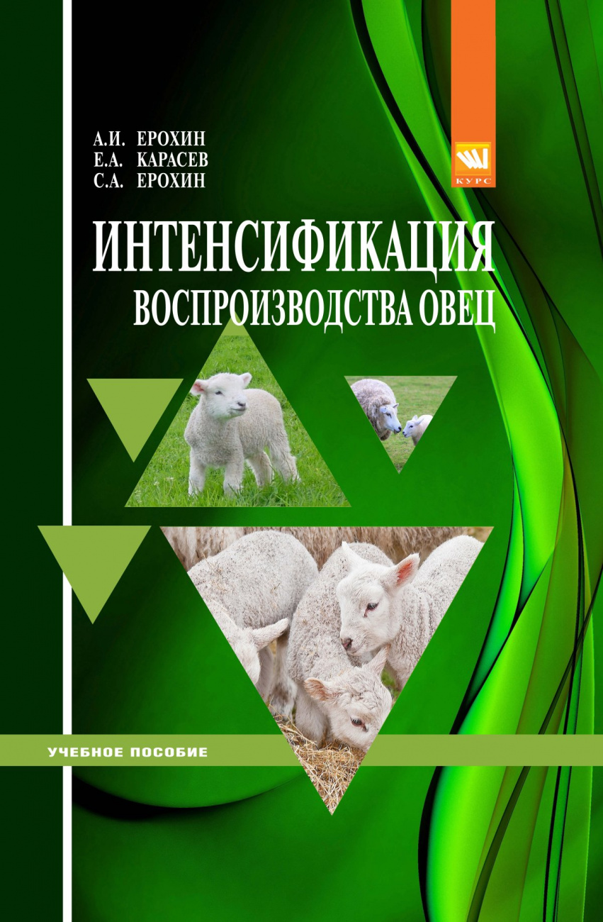 Интенсификация воспроизводства овец