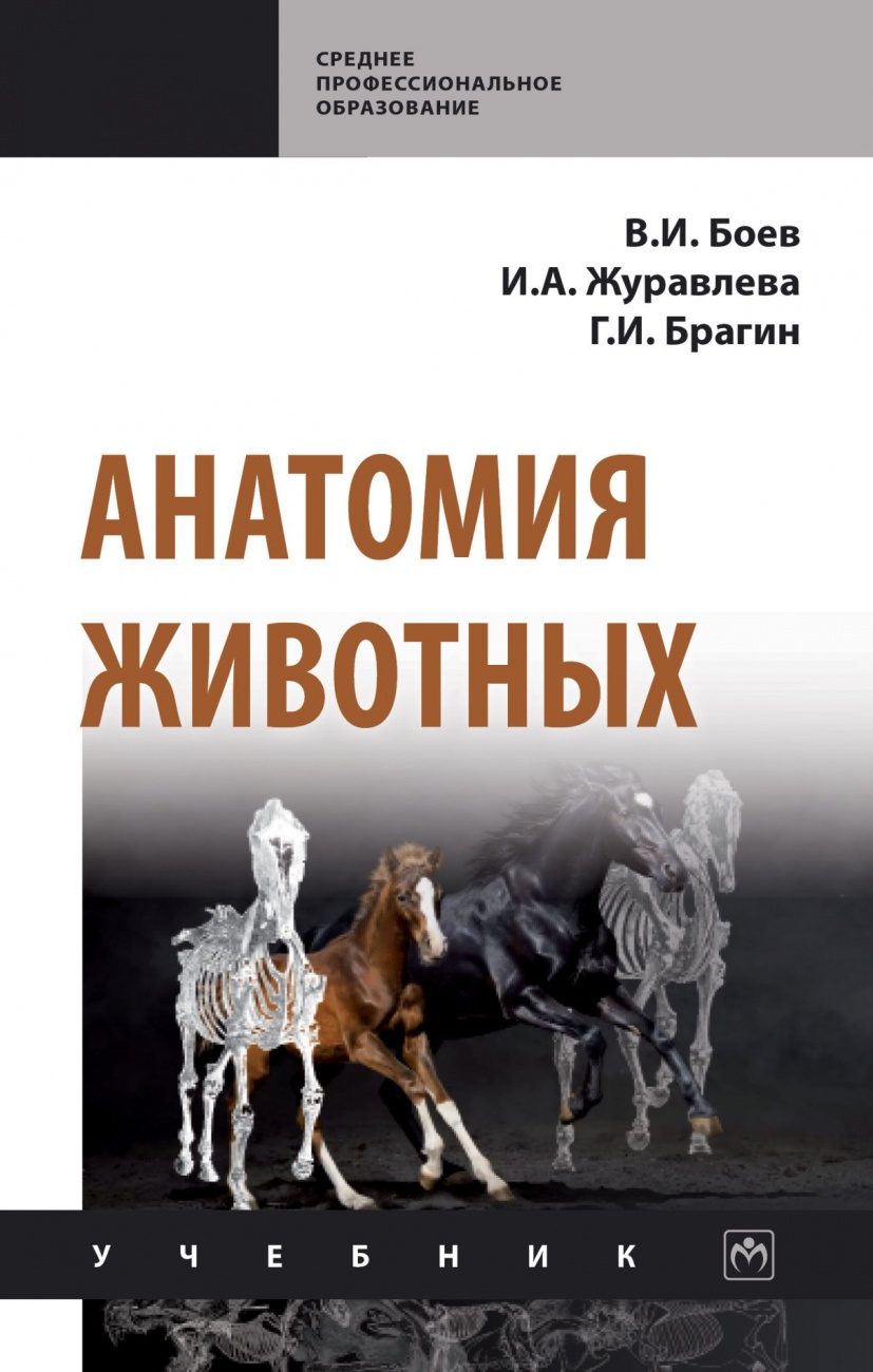 Анатомия брака книга с картинками