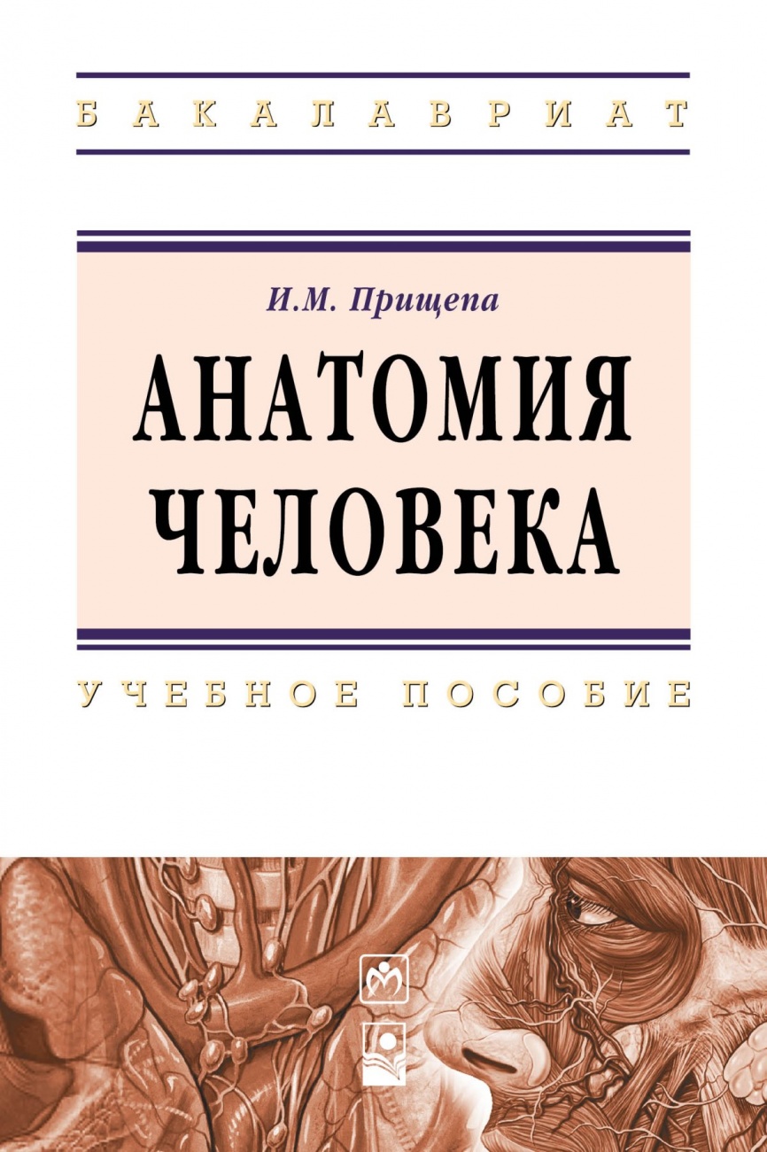 Анатомия человека. Учебное пособие