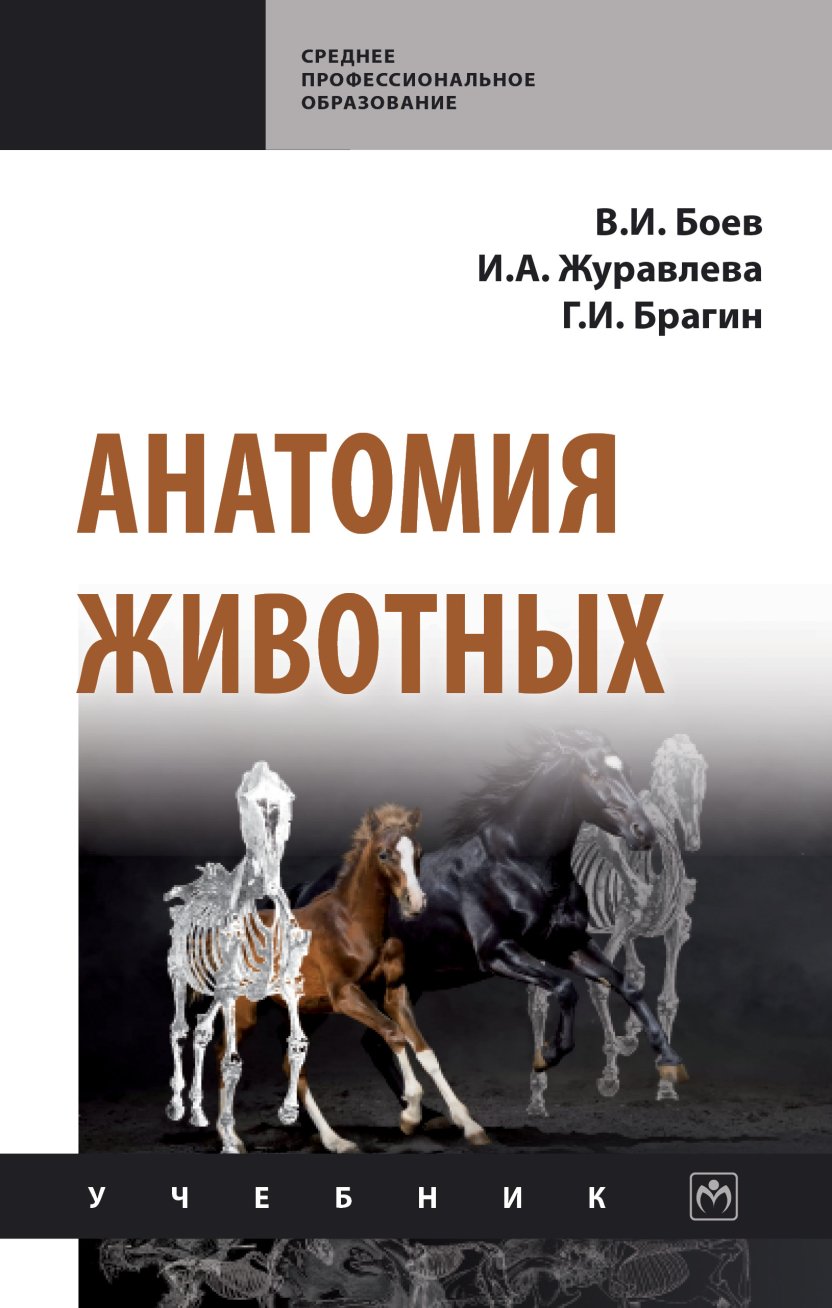Анатомия животных. Учебник