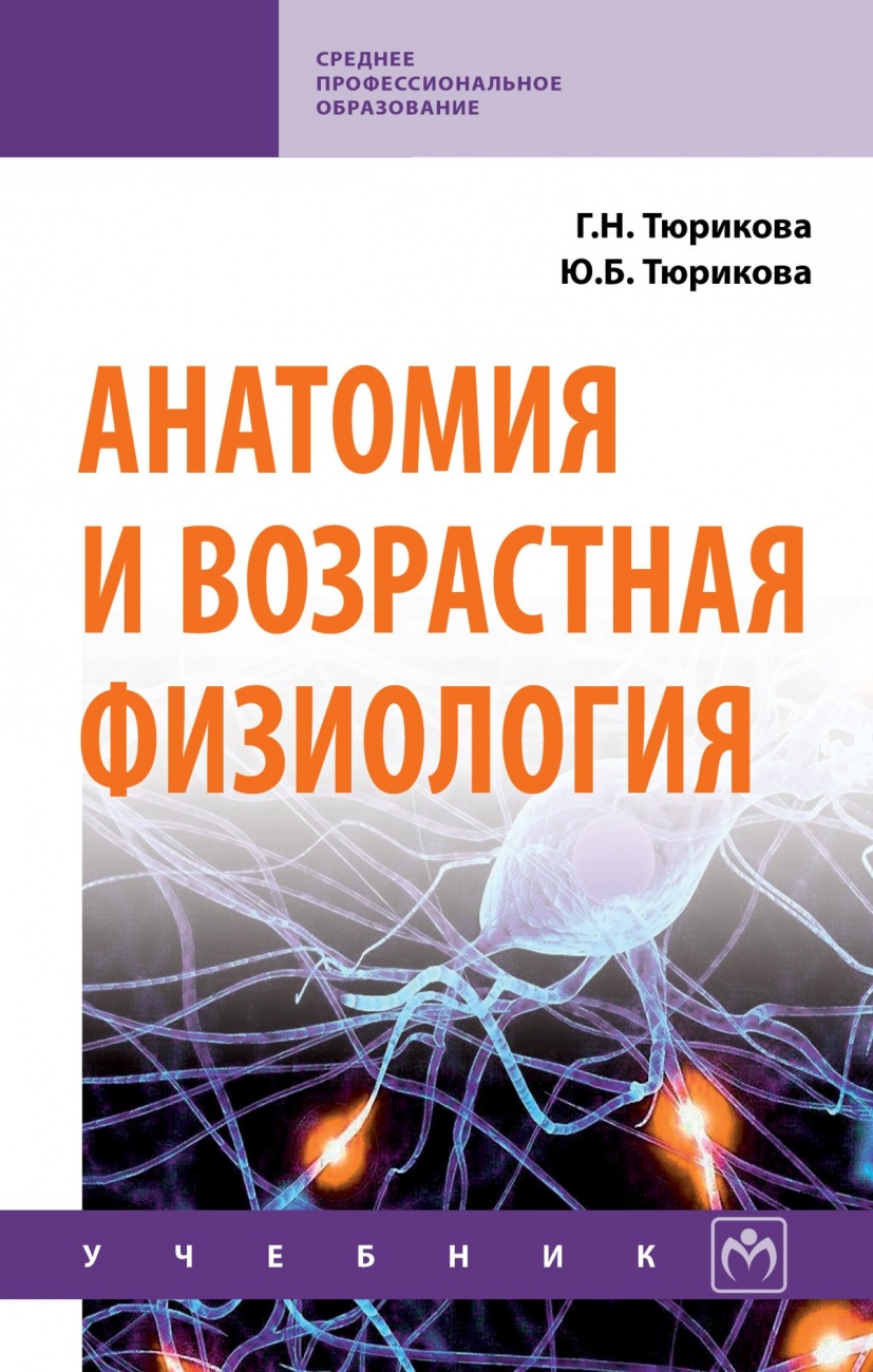 Анатомия и возрастная физиология