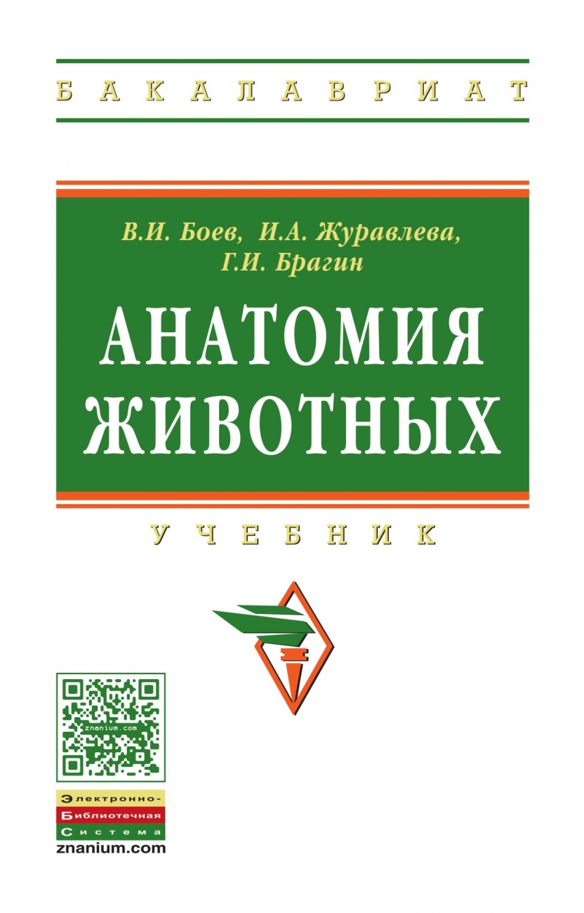 Анатомия животных