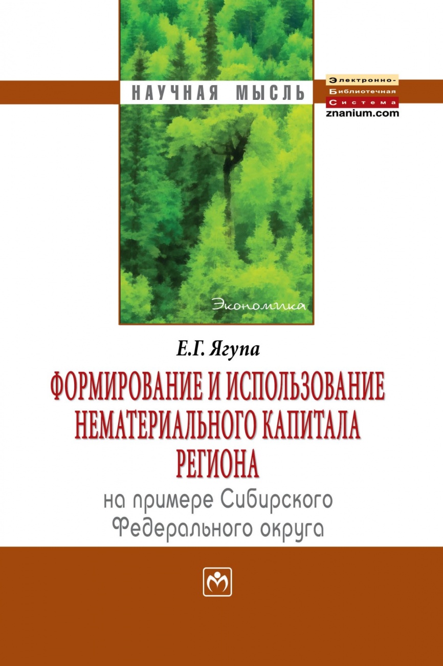 Формирование и использование нематериального капитала региона (на примере Сибирского федеративного округа). Монография