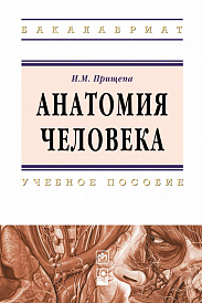 Анатомия человека