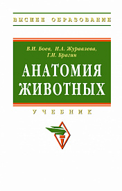 Анатомия животных