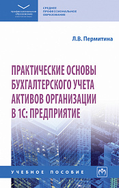 Практические основы бухгалтерского учета активов организации в 1С: Предприятие