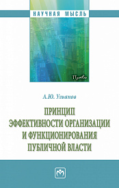 Принцип эффективности организации и функционирования публичной власти